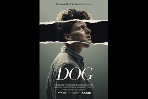 Dog film poster